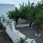 Lia *
