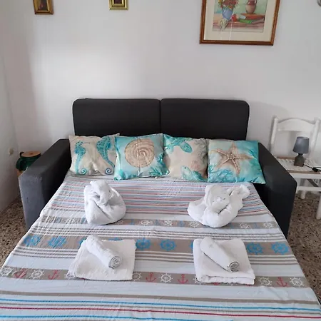 Lia マリッティマ