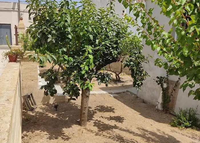 Lia ماريتيما