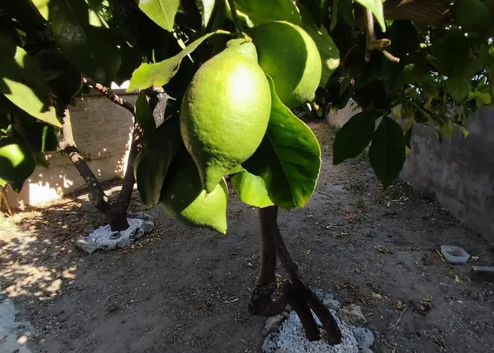 Ferienhaus Lia Marittima